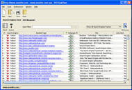 SEO SpyGlass Enterprise screenshot